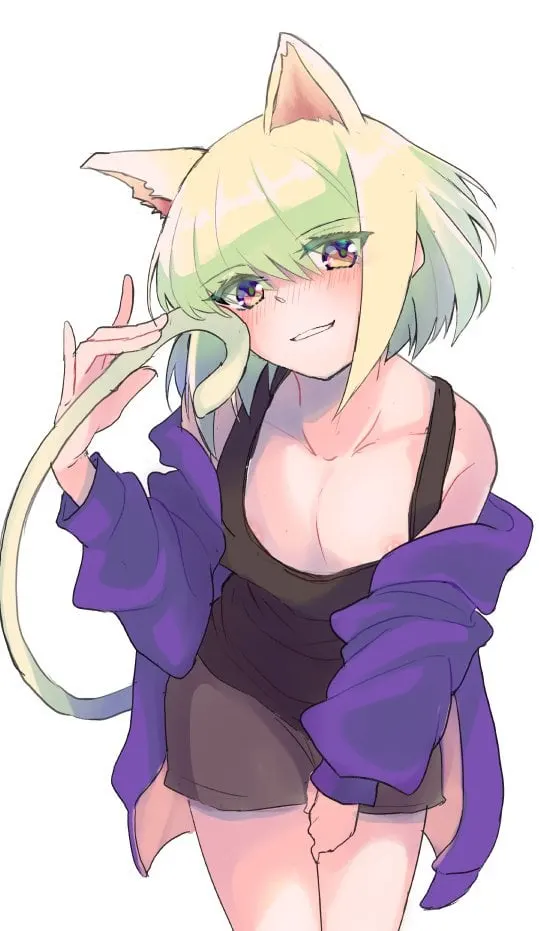 I heard you like cat Lio