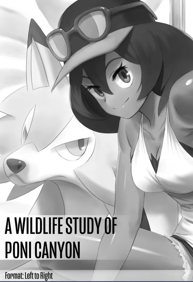A wildlife study (Jiffic)