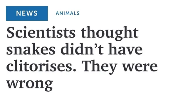 Sounds like a skill issue. We snussy lovers have known that for a long time.