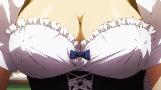 Special maid service [maken-ki]