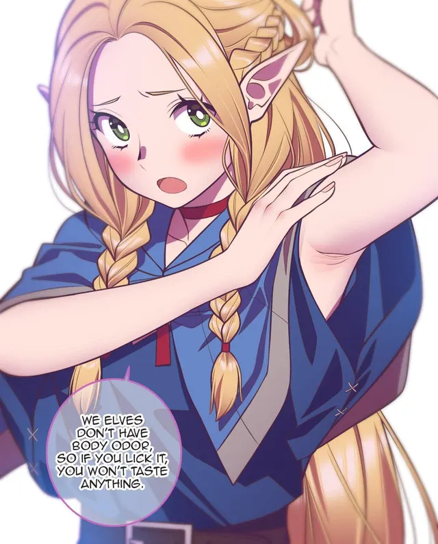 Marcille [Delicious in Dungeon]
