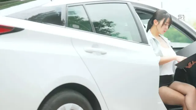 Frisky driving instructor