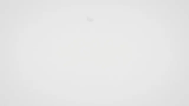 Girls at the hotspring (Senran Kagura)